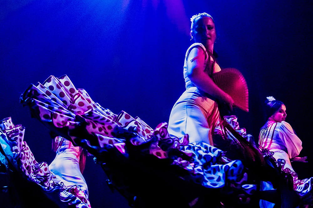 Pasion Flamenco Show in Seville - Experience an authentic flamenco show in Seville at Teatro Flamenco Sevilla. Enjoy passionate dance, live guitar, and soulful singing in the heart of Andalusia. Daily 60‑minute shows, comfortable seating, wheelchair accessible, with evening performances in summer. Book now for one of the best flamenco experiences in Seville. Pasion Flamenco Show in Seville - Image 4 of 5