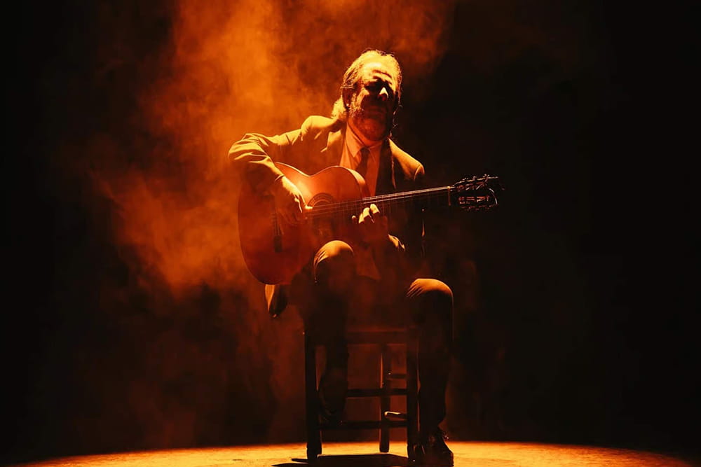 Pasion Flamenco Show in Seville - Experience an authentic flamenco show in Seville at Teatro Flamenco Sevilla. Enjoy passionate dance, live guitar, and soulful singing in the heart of Andalusia. Daily 60‑minute shows, comfortable seating, wheelchair accessible, with evening performances in summer. Book now for one of the best flamenco experiences in Seville. Pasion Flamenco Show in Seville - Image 5 of 5