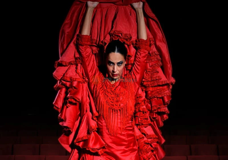 Spettacolo Pasion Flamenco a Siviglia