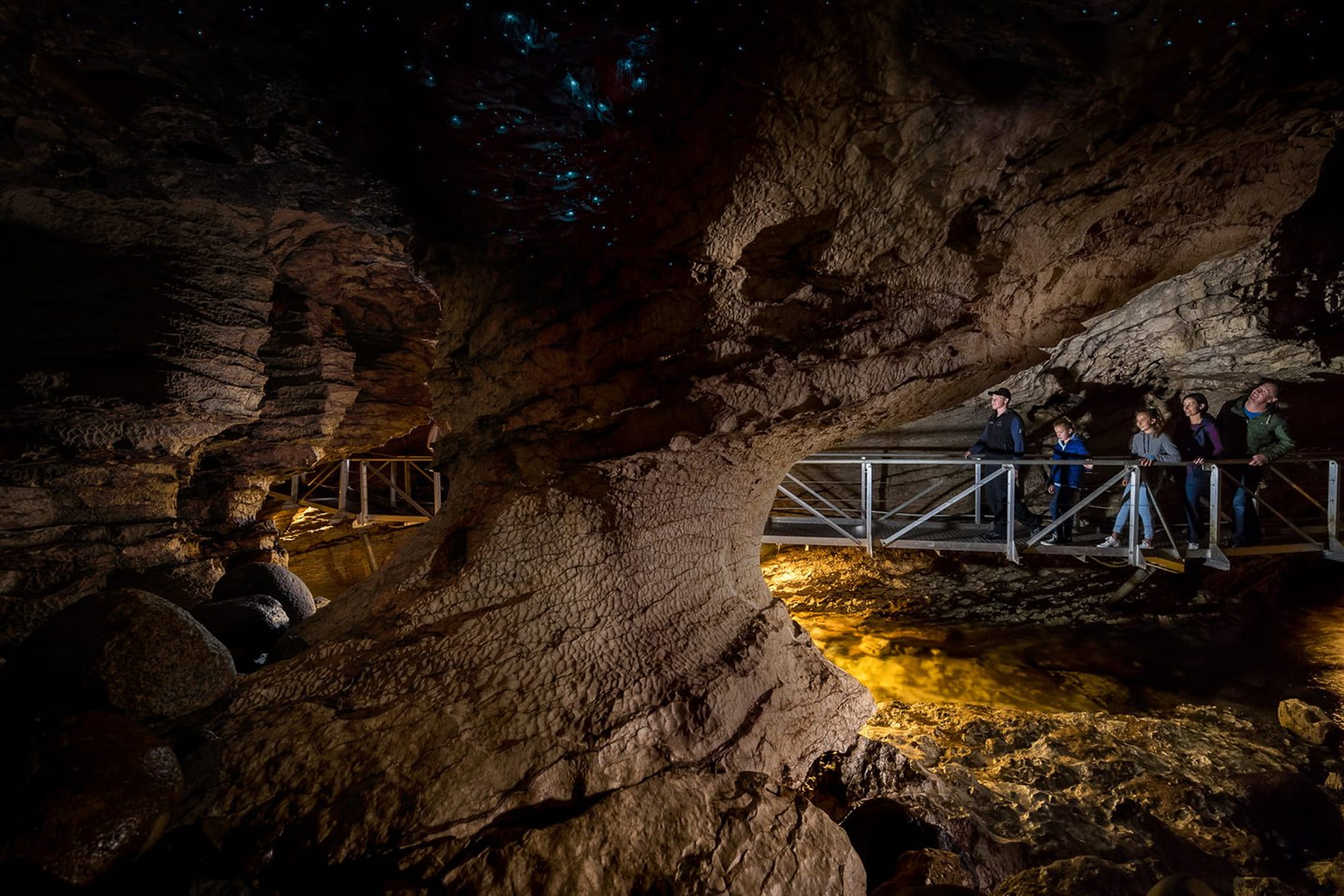 Te Anau Glowworm Cave Tour - Discover the Te Anau Glowworm Caves on a half‑day tour featuring a scenic lake cruise, limestone caves, underground waterfall, and a magical glowworm grotto. Te Anau Glowworm Cave Tour - Image 1 of 5