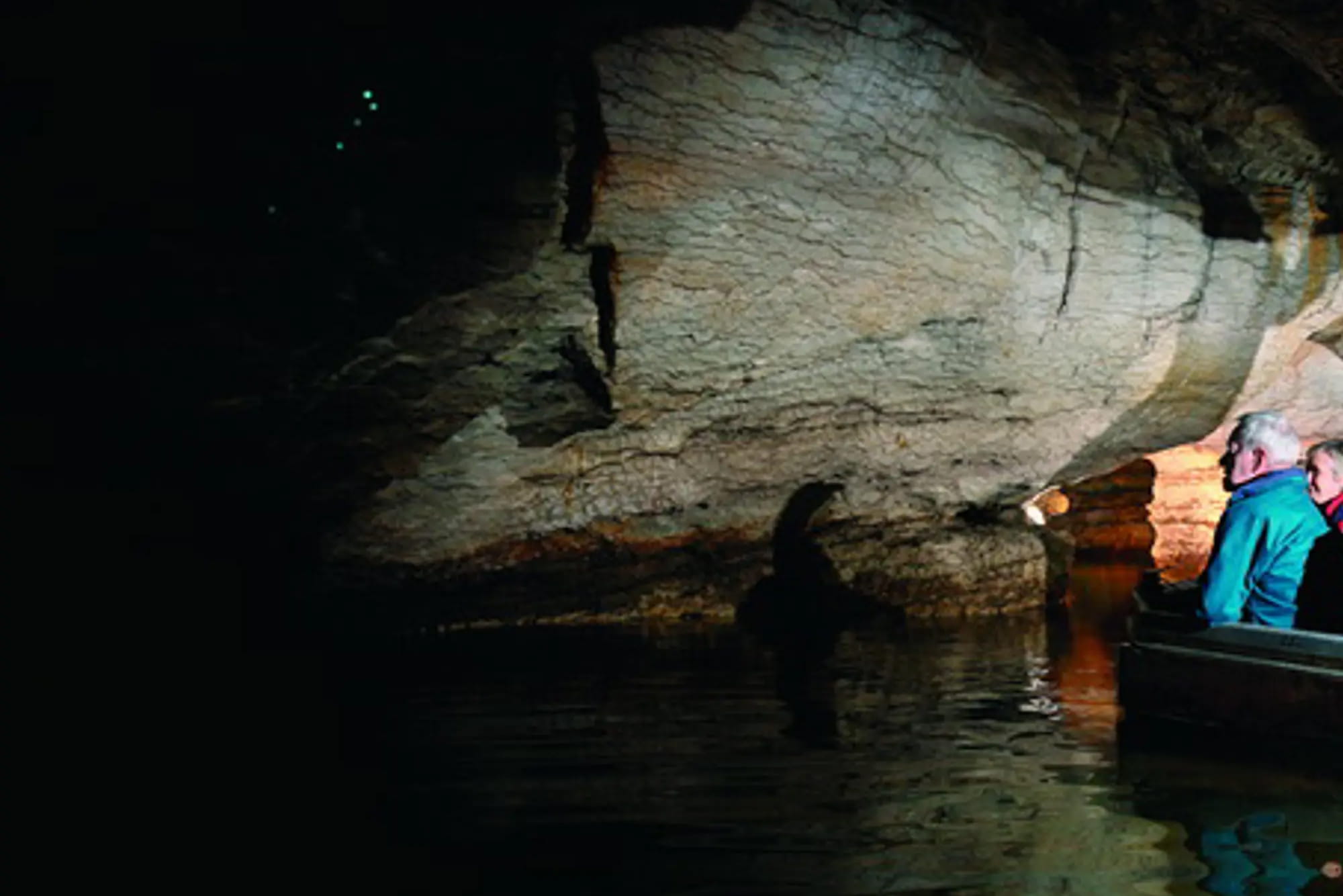 Te Anau Glowworm Cave Tour - Discover the Te Anau Glowworm Caves on a half‑day tour featuring a scenic lake cruise, limestone caves, underground waterfall, and a magical glowworm grotto. Te Anau Glowworm Cave Tour - Image 3 of 5