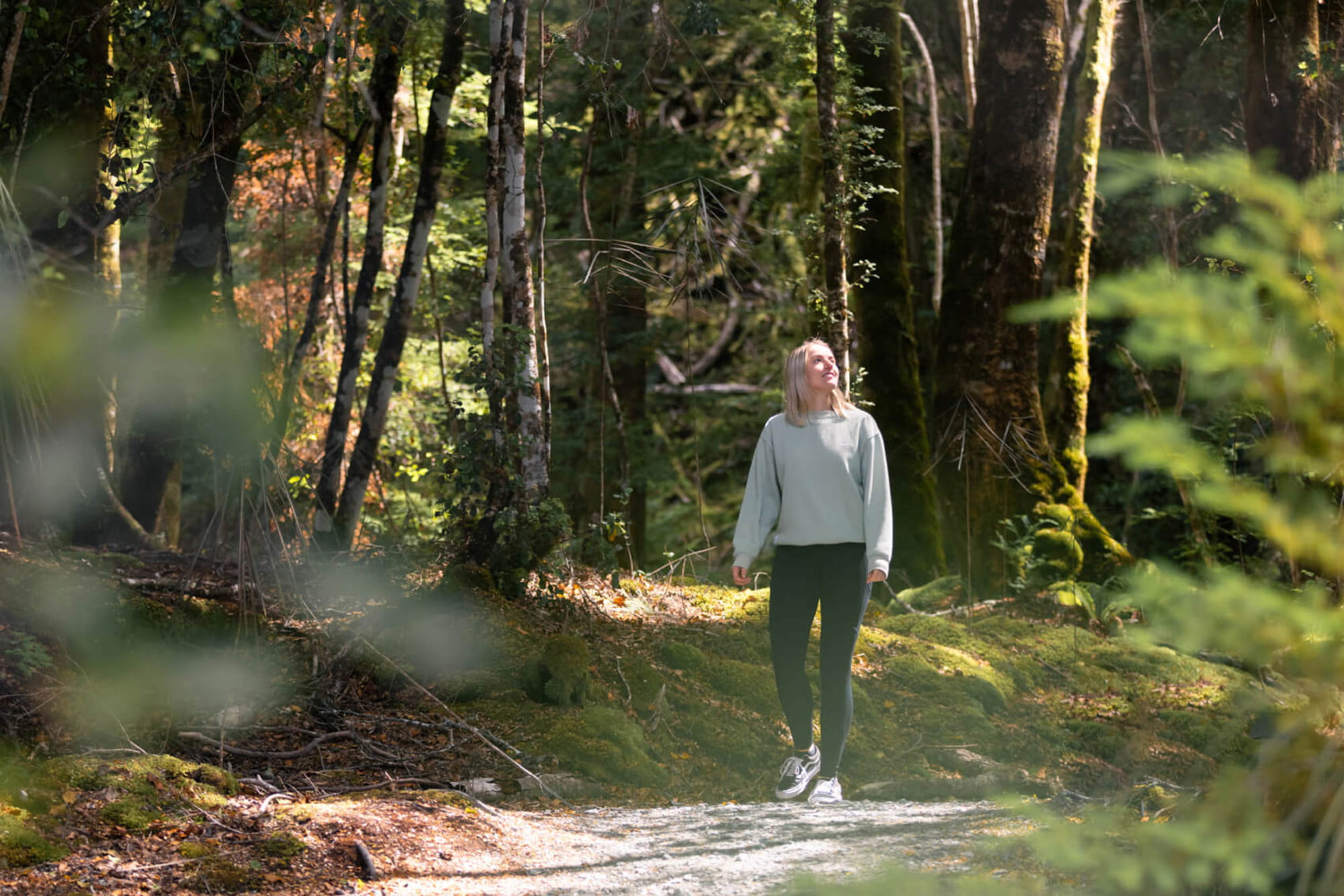 Te Anau Glowworm Cave Tour - Discover the Te Anau Glowworm Caves on a half‑day tour featuring a scenic lake cruise, limestone caves, underground waterfall, and a magical glowworm grotto. Te Anau Glowworm Cave Tour - Image 4 of 5