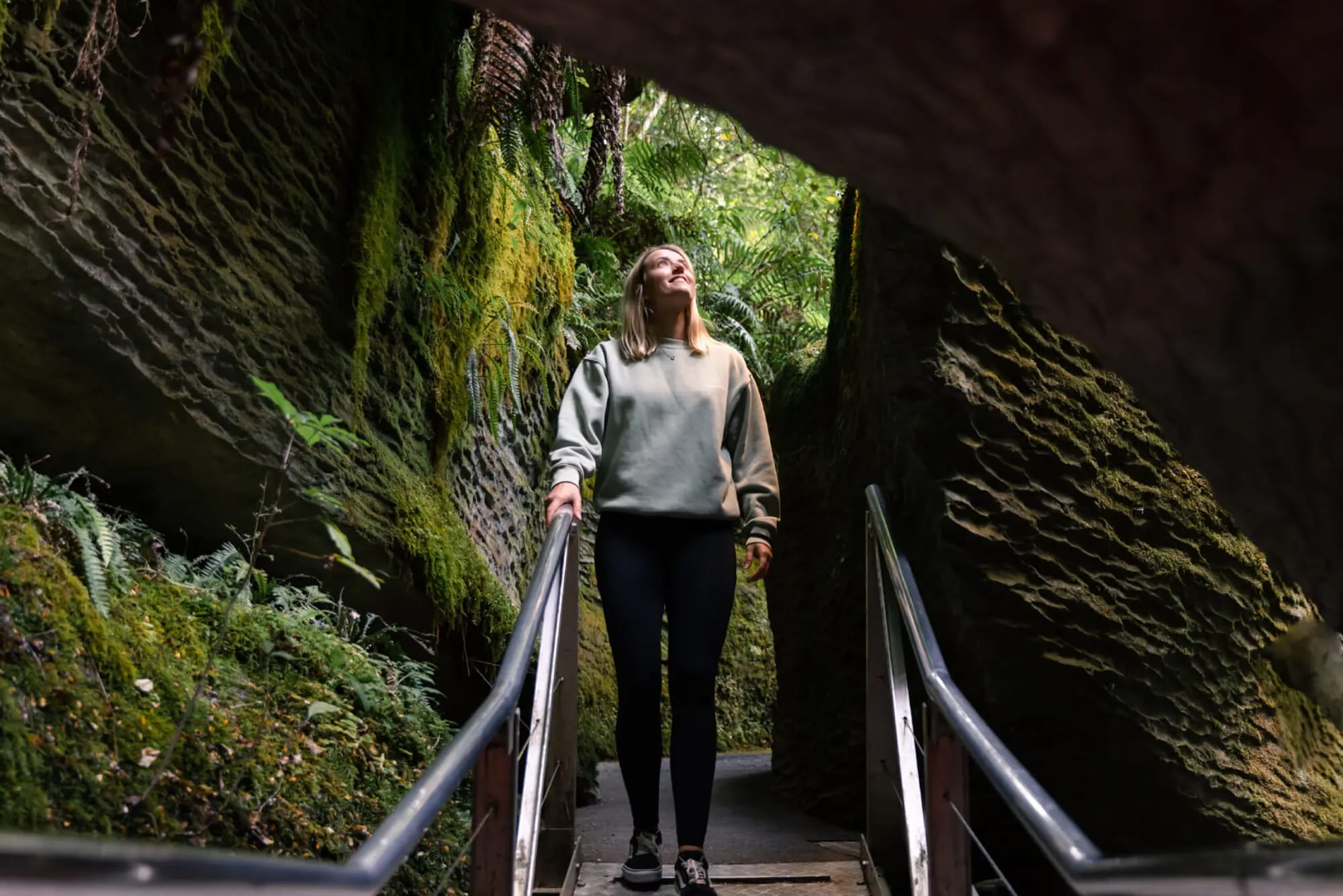 Tour de las Cuevas de Luciérnagas de Te Anau - Descubra las Cuevas de Luciérnagas de Te Anau en un tour de medio día que incluye un crucero escénico por el lago, cuevas de piedra caliza, cascada subterránea y una mágica gruta de luciérnagas. Tour de las Cuevas de Luciérnagas de Te Anau - Imagen 5 de 5