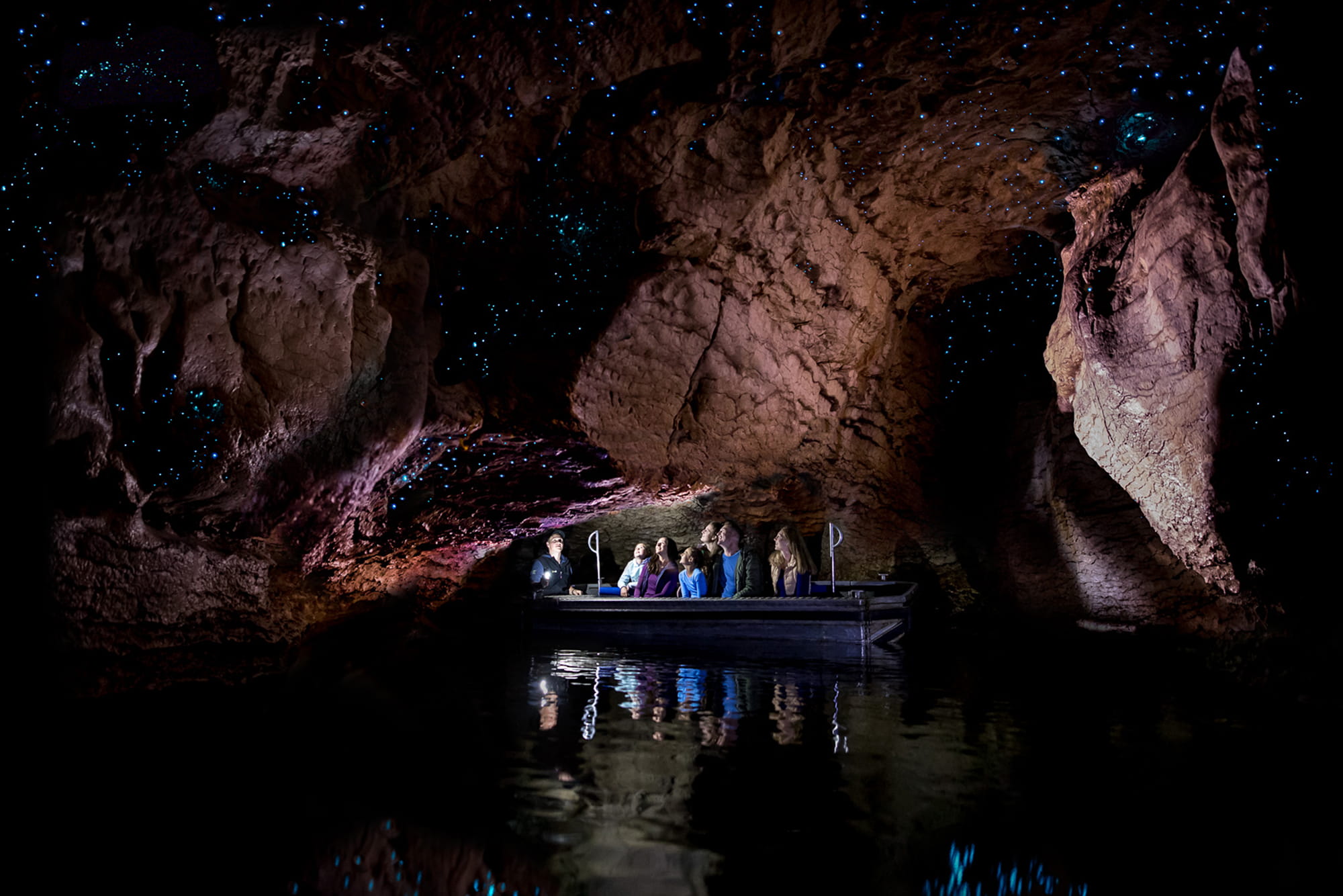 Te Anau Glowworm Cave Tour - Image 6 of 6