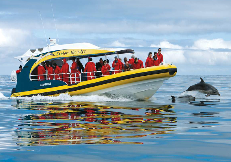 Tasman Island Cruises Full Day Tour from Hobart - Explore Tasmania’s rugged coastline on a Tasman Island full day cruise from Hobart. Enjoy a 3‑hour wilderness cruise, spot dolphins and whales, visit Port Arthur or the Tasmanian Devil Park, with transfers and meals included. Tasman Island Cruises Full Day Tour from Hobart - Image 1 of 5