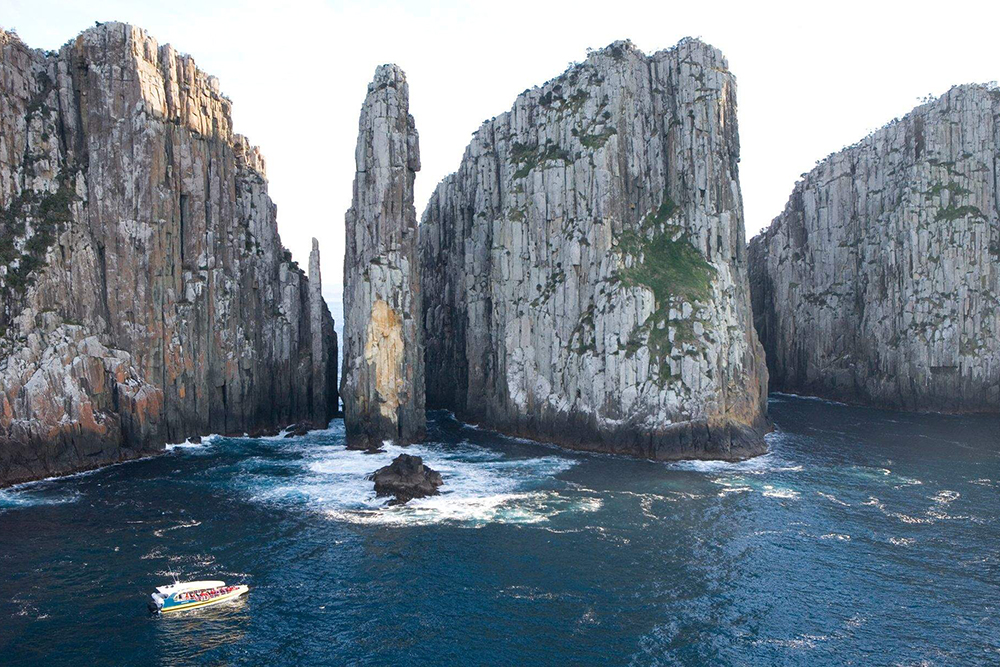 Tasman Island Cruises Full Day Tour from Hobart - Image 2 of 5