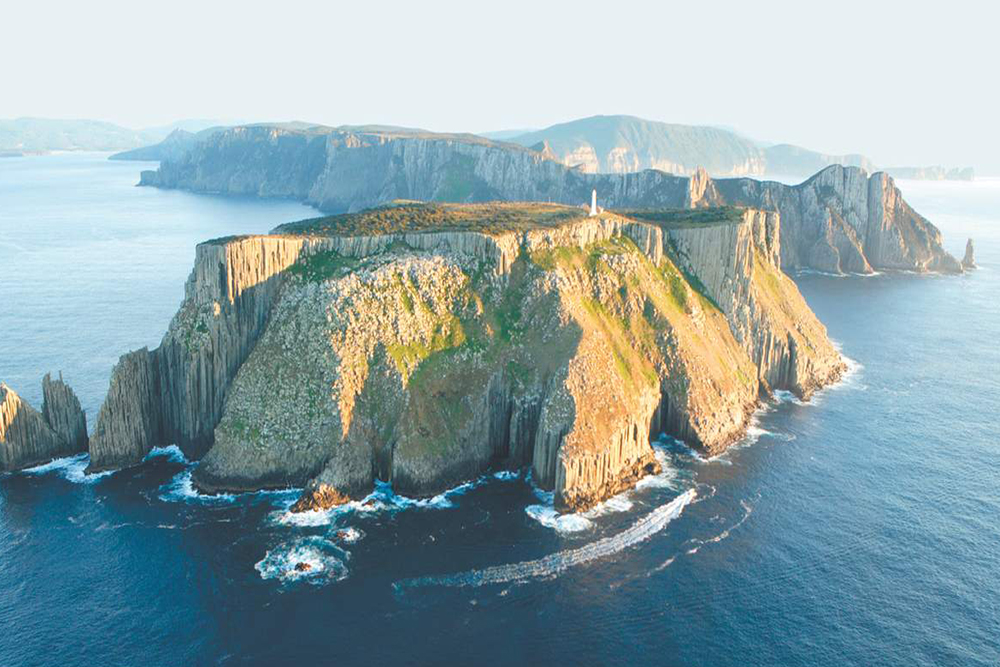 Tasman Island Cruises Full Day Tour from Hobart - Explore Tasmania’s rugged coastline on a Tasman Island full day cruise from Hobart. Enjoy a 3‑hour wilderness cruise, spot dolphins and whales, visit Port Arthur or the Tasmanian Devil Park, with transfers and meals included. Tasman Island Cruises Full Day Tour from Hobart - Image 4 of 5