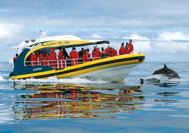 Crociere a Tasman Island Tour di un giorno intero da Hobart