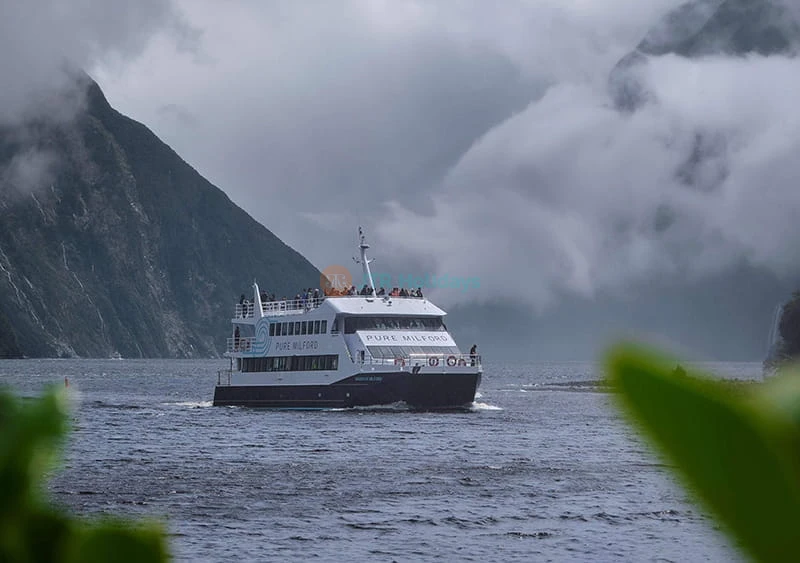 Crociera Turistica a Milford Sound