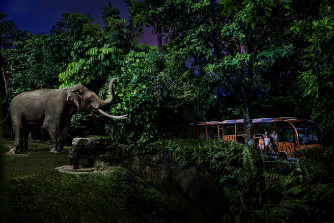 Singapore Holiday Package 5 Nights 6 Days – Wildlife & City Highlights - Experience the best of Singapore with our 5 nights 6 days holiday package. Explore Gardens by the Bay, Marina Bay Sands, Sentosa Island, and Universal Studios, and enjoy a Singapore River Cruise. Discover world‑famous wildlife at Singapore Zoo and Night Safari, with hotel stays, daily breakfast, airport transfers, and sightseeing included. Singapore Holiday Package 5 Nights 6 Days – Wildlife & City Highlights - Image 3 of 5