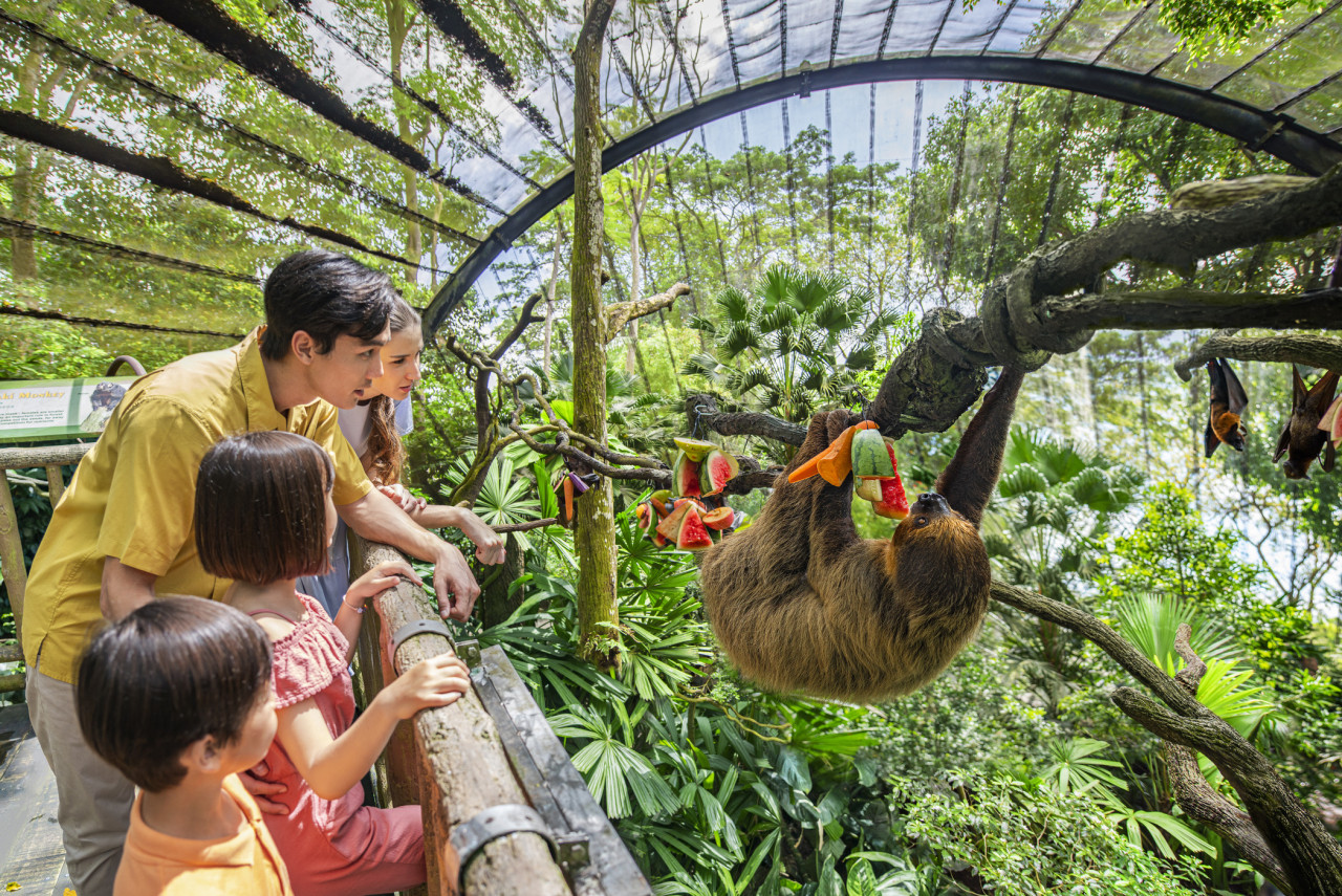 Singapore Holiday Package 5 Nights 6 Days – Wildlife & City Highlights - Image 5 of 5