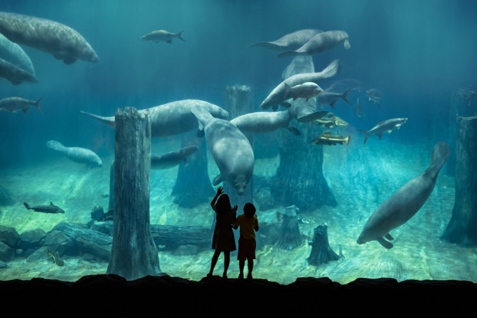 6 Nights & 7 Days Singapore Premium Holiday Package | Explore Singapore in Style - Image 5 of 5