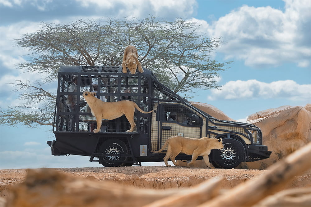 Al Ain Safari - Book Al Ain Safari tickets and enjoy a guided wildlife safari experience in Abu Dhabi. Explore open habitats, see exotic animals up close, and experience an exciting family‑friendly outdoor adventure. Al Ain Safari - Image 1 of 5