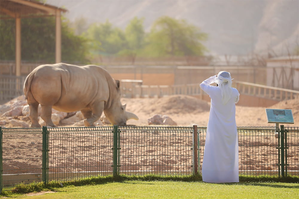 Al Ain Safari - Book Al Ain Safari tickets and enjoy a guided wildlife safari experience in Abu Dhabi. Explore open habitats, see exotic animals up close, and experience an exciting family‑friendly outdoor adventure. Al Ain Safari - Image 3 of 5