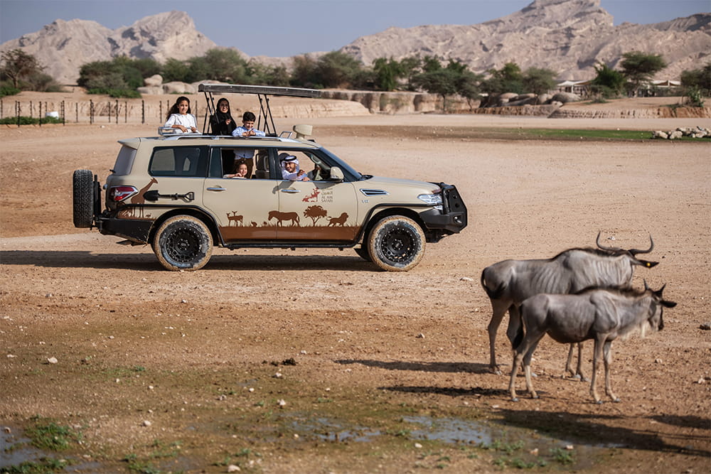 Al Ain Safari - Book Al Ain Safari tickets and enjoy a guided wildlife safari experience in Abu Dhabi. Explore open habitats, see exotic animals up close, and experience an exciting family‑friendly outdoor adventure. Al Ain Safari - Image 5 of 5