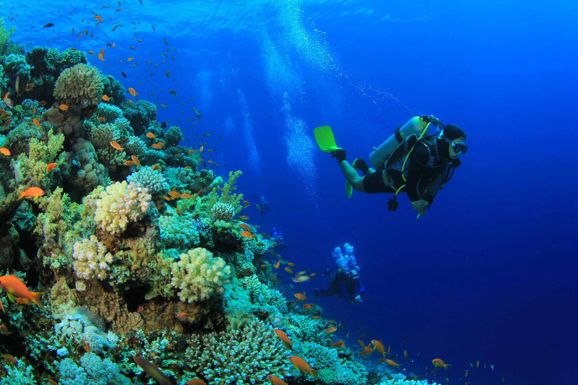 Emerald Maldives Resort & Spa All-Inclusive Package – 4 Nights / 5 Days - Image 8 of 15
