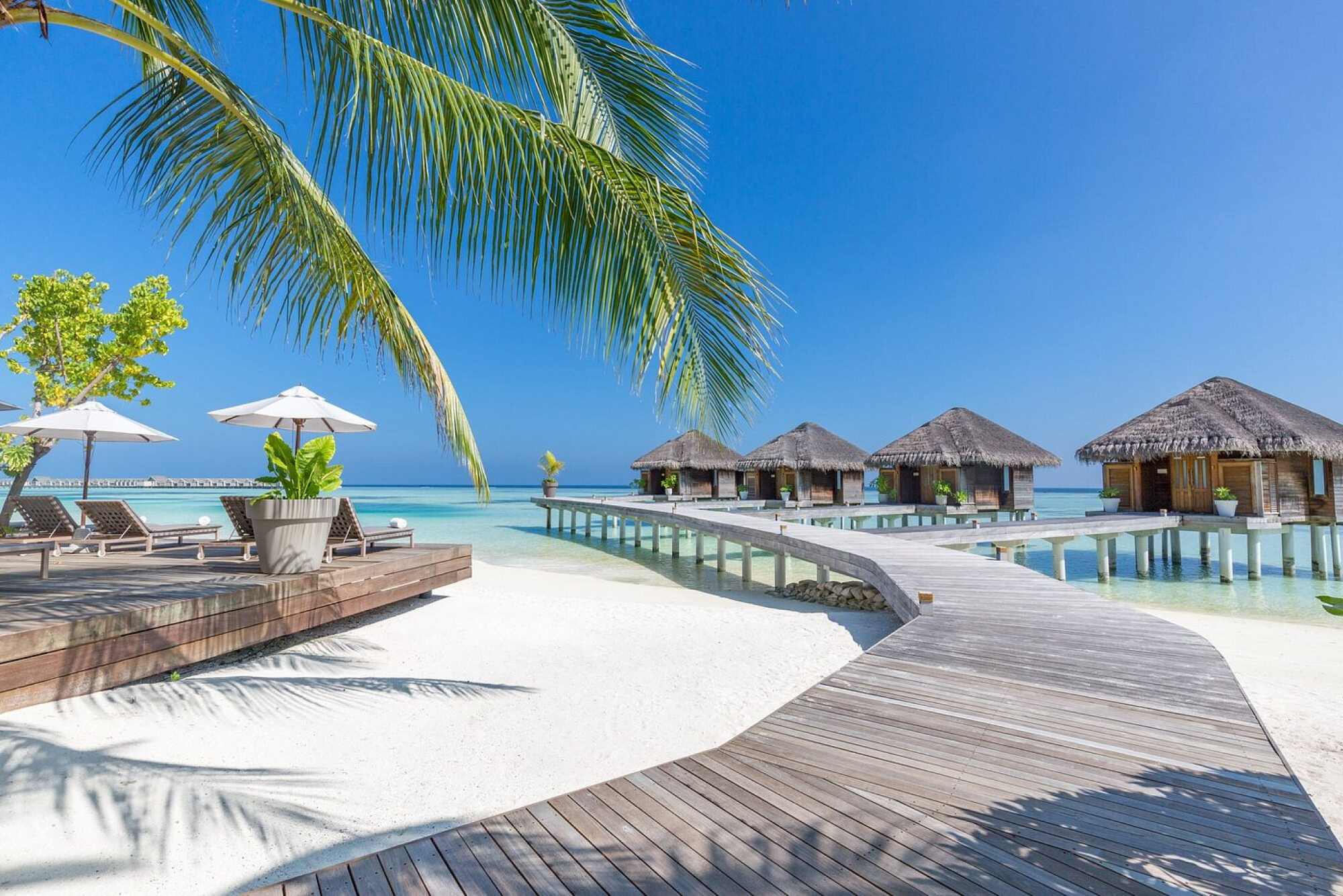 LUX* South Ari Atoll Maldives All-Inclusive Holiday Deal – 4 Nights / 5 Days - Image 7 of 14