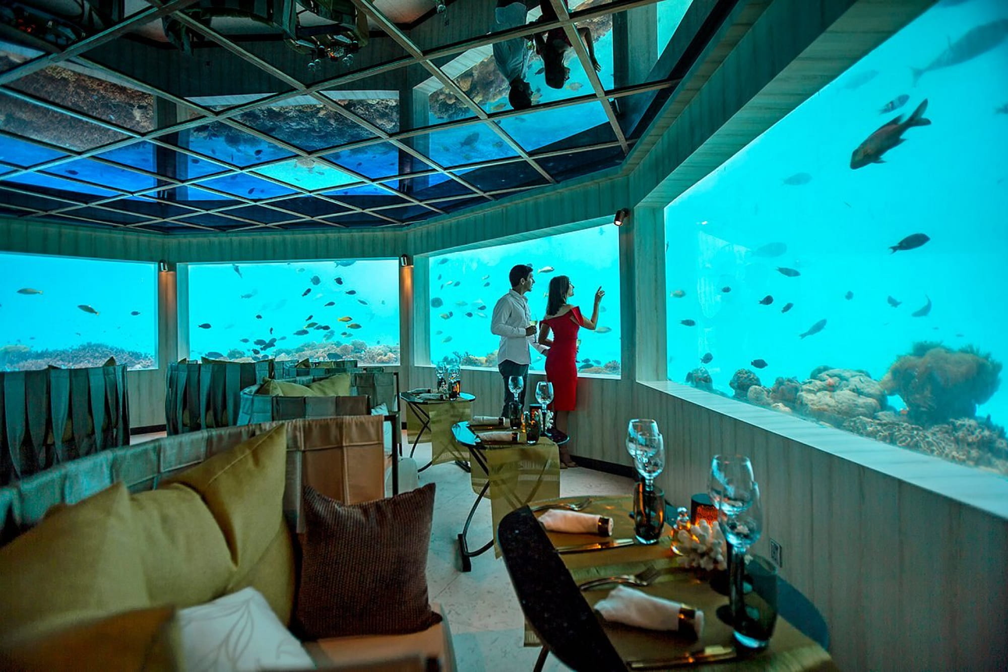 OZEN LIFE Maadhoo Maldives – Unlimited Luxury All-Inclusive Escape | 4 Nights / 5 Days - Image 9 of 14