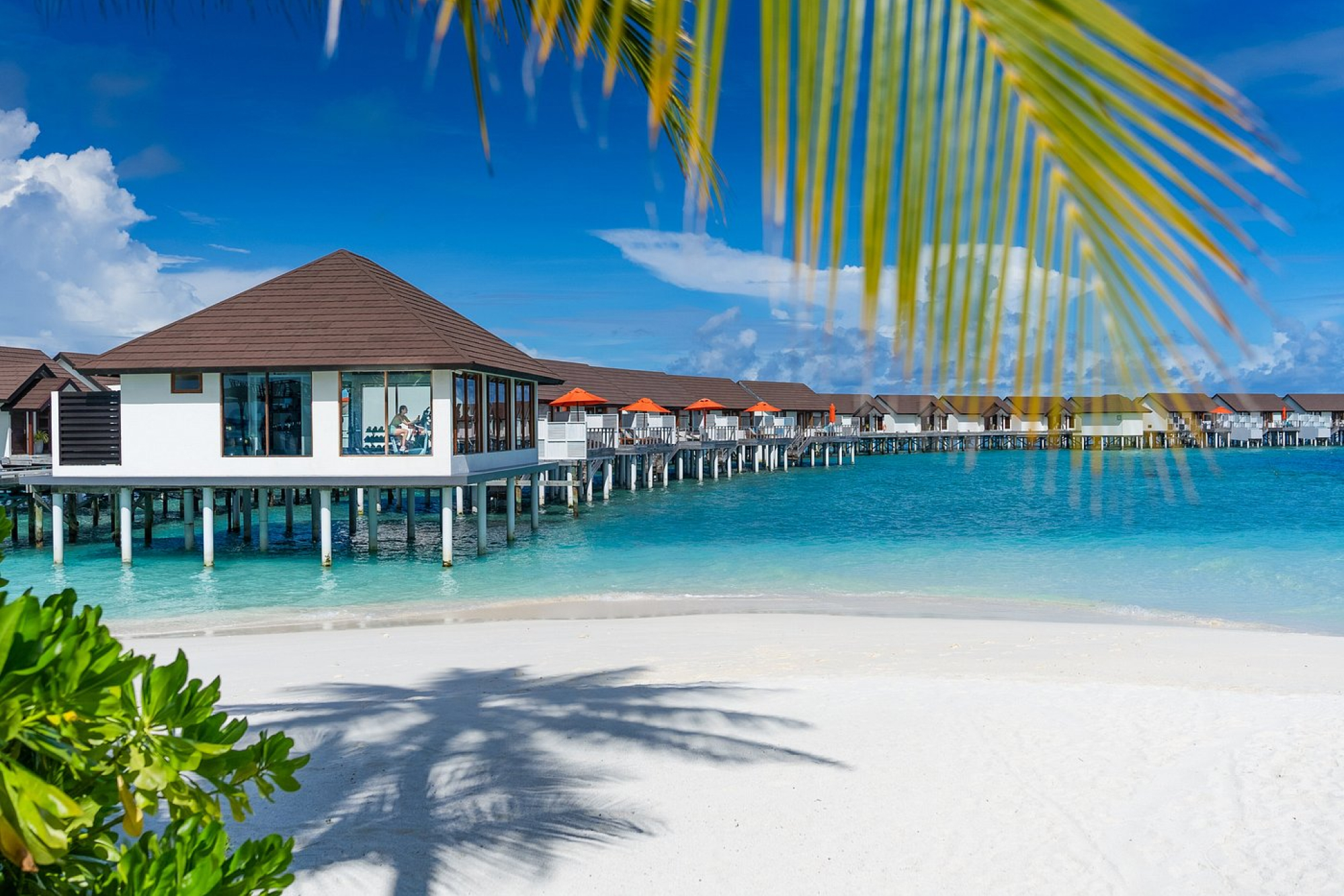 OBLU SELECT Sangeli Maldives – Premium All-Inclusive Island Escape | 4 Nights / 5 Days - Image 10 of 15