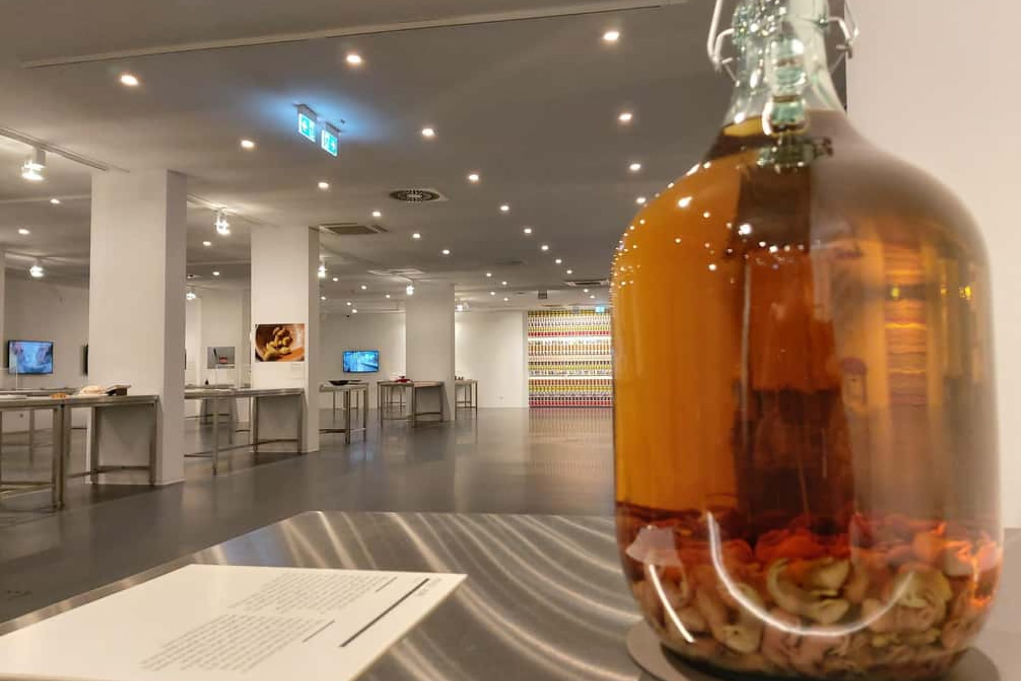 Disgusting Food Museum Berlin - Prenota i biglietti per il Disgusting Food Museum Berlin ed esplora oltre 90 dei cibi più strani al mondo. Goditi un'esperienza di degustazione unica al Tasting Bar e scopri le culture alimentari globali in questa insolita attrazione di Berlino. Disgusting Food Museum Berlin - Immagine 1 di 5