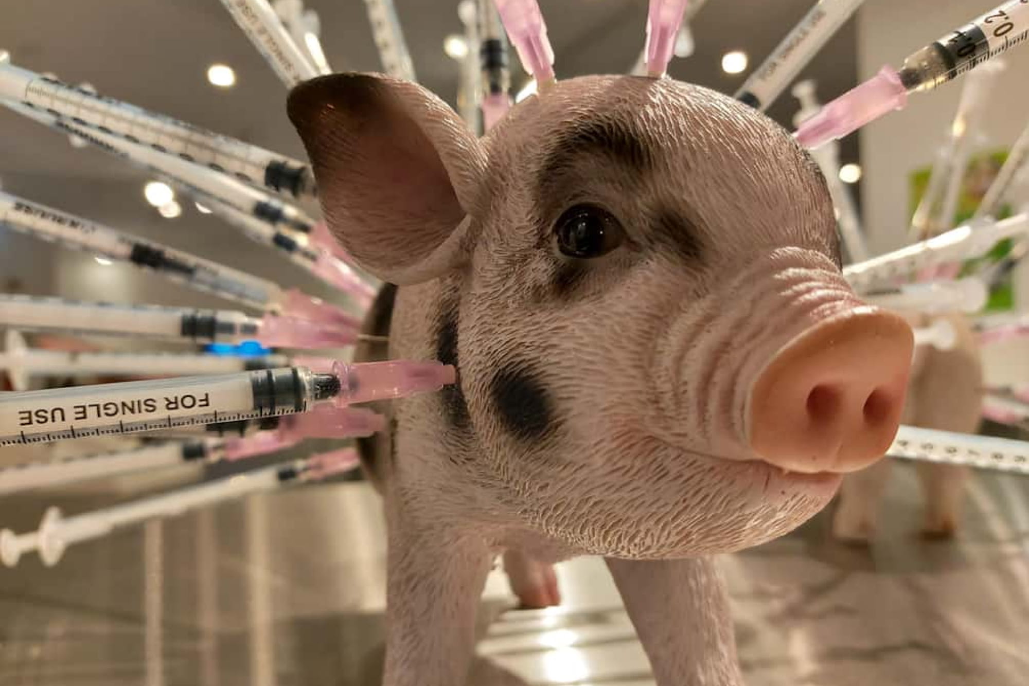 Disgusting Food Museum Berlin - Image 4 of 5