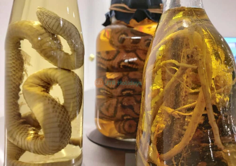 Disgusting Food Museum Berlin