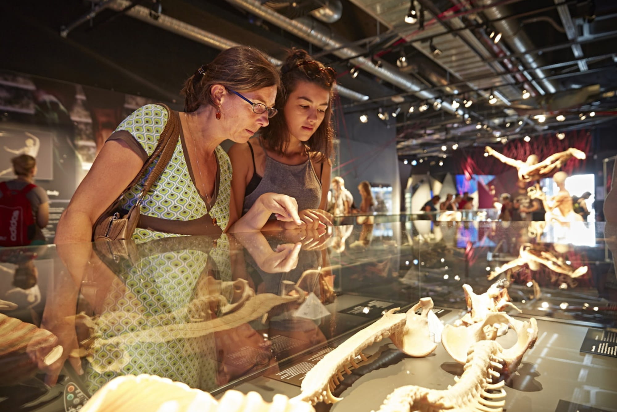 BODY WORLDS Berlin - Esplora BODY WORLDS Berlin e scopri il corpo umano attraverso reali esposizioni anatomiche. Scopri come salute, stile di vita e benessere modellano la condizione umana in questa mostra unica, accessibile alle persone in sedia a rotelle. BODY WORLDS Berlin - Immagine 2 di 5