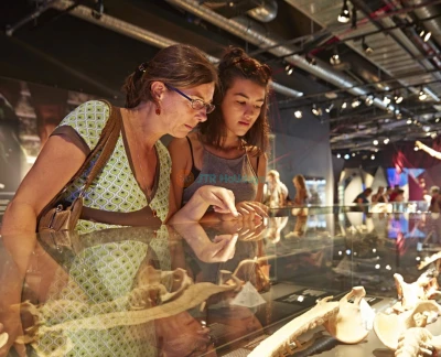BODY WORLDS Berlin - Bild 2 von 5