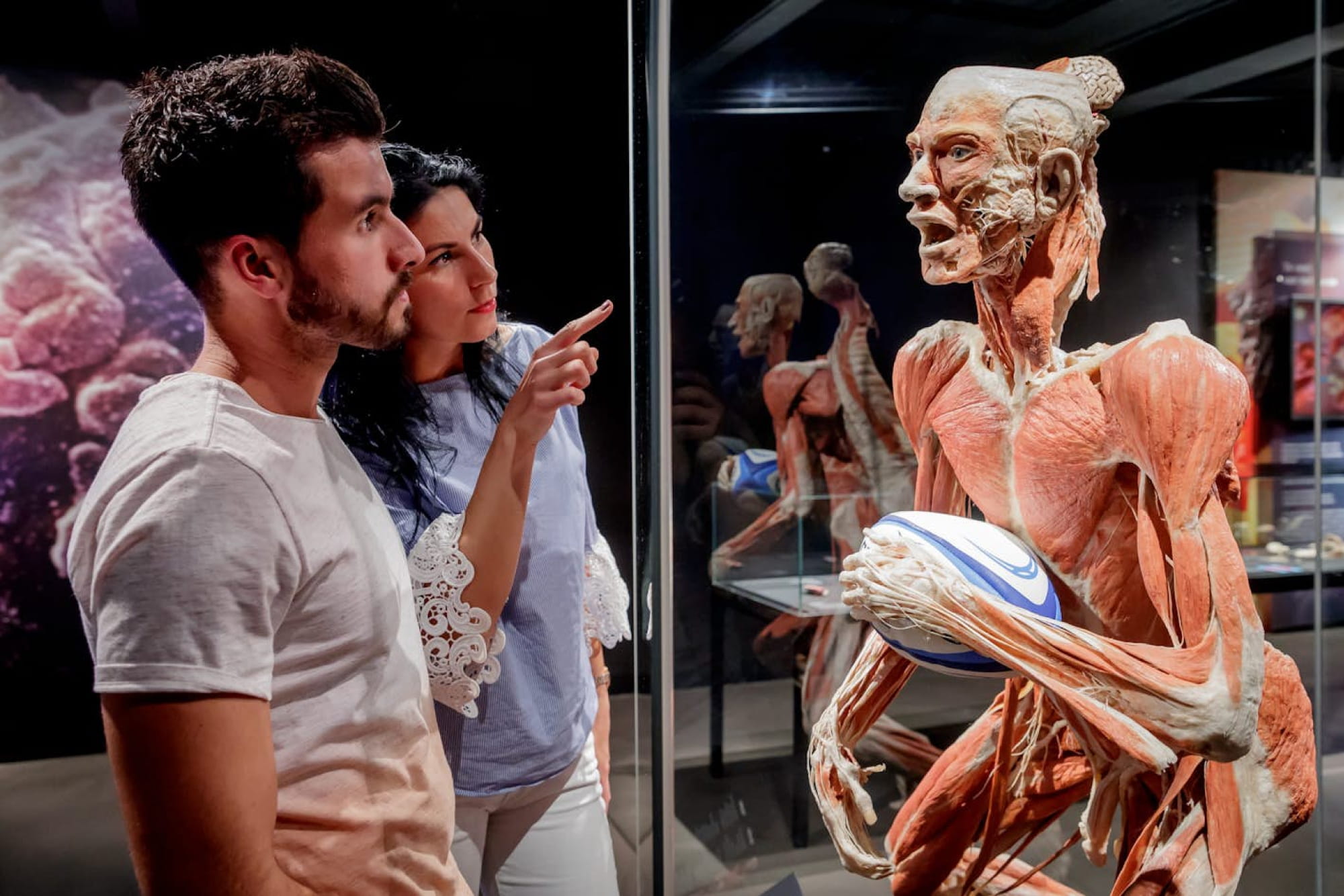 BODY WORLDS Berlin - Explore BODY WORLDS Berlin and discover the human body through real anatomical exhibits. Learn how health, lifestyle, and wellbeing shape the human condition in this unique, wheelchair‑accessible exhibition. BODY WORLDS Berlin - Image 5 of 5