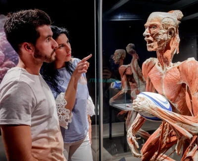 BODY WORLDS Berlin - Entdecken Sie BODY WORLDS Berlin und erforschen Sie den menschlichen Körper durch echte anatomische Exponate. Erfahren Sie, wie Gesundheit, Lebensstil und Wohlbefinden die menschliche Verfassung in dieser einzigartigen, rollstuhlgerechten Ausstellung prägen. BODY WORLDS Berlin - Bild 5 von 5