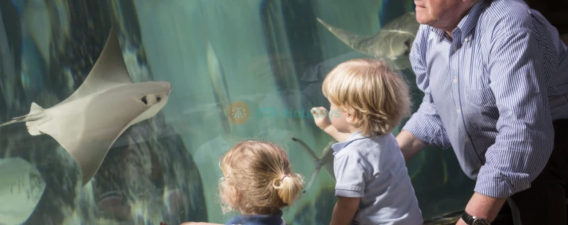 SEA LIFE Hannover Aquarium Ticket - Book SEA LIFE Hannover tickets and explore a top aquarium attraction in Germany. Discover sea turtles, rays, crocodiles, interactive rock pools, and a tropical rainforest—perfect for families and kids. SEA LIFE Hannover Aquarium Ticket - Image 4 of 5