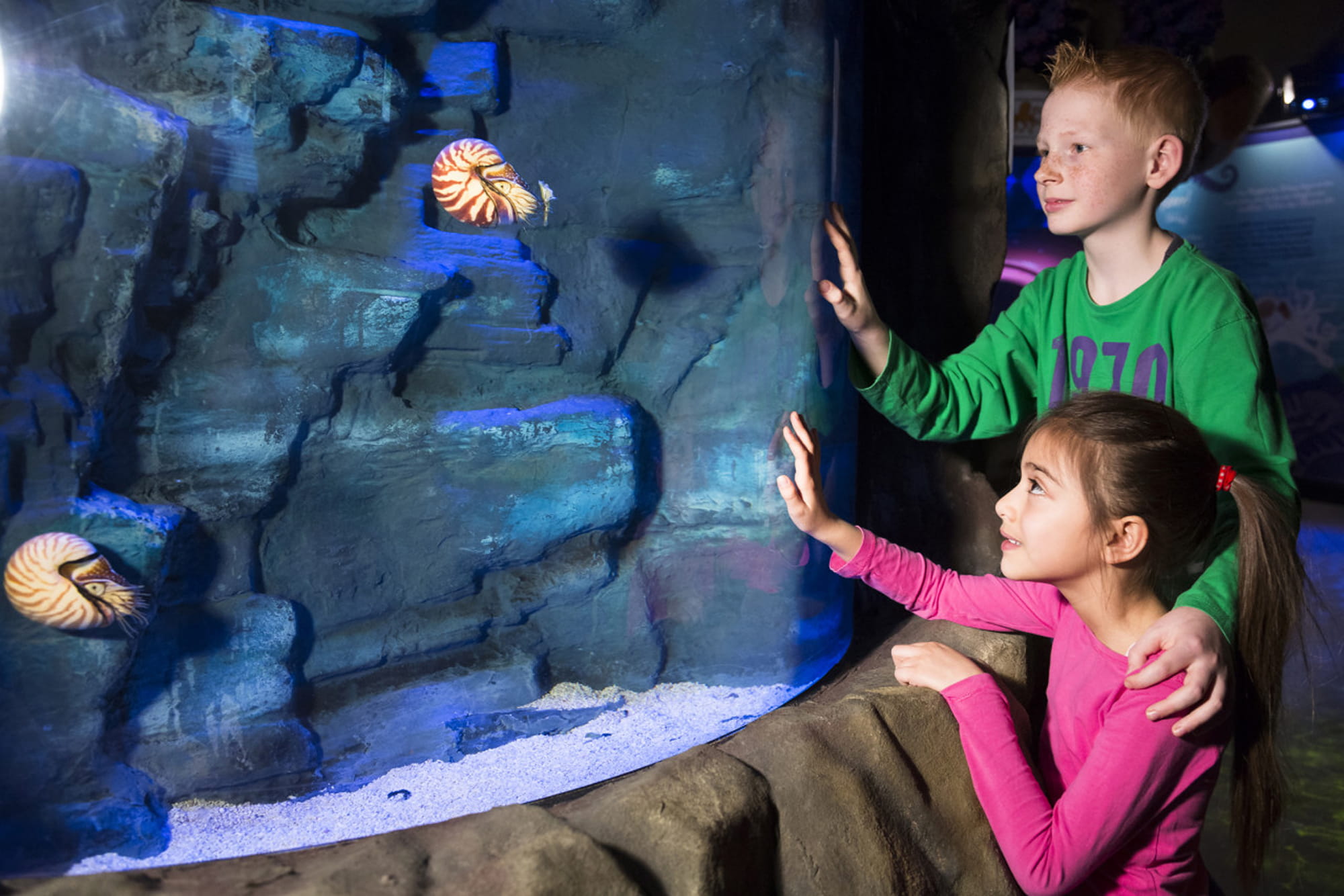 SEA LIFE Hannover Aquarium Ticket - Image 5 of 5