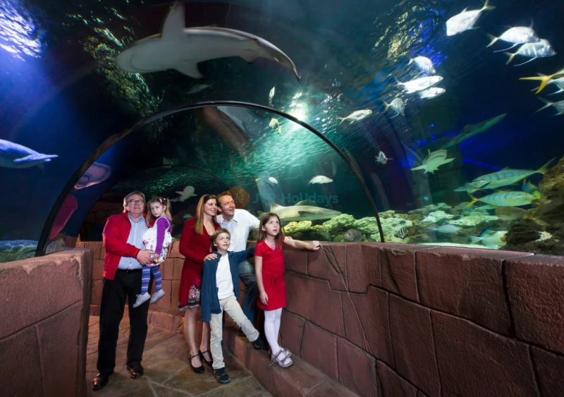 Biglietto per l'Acquario SEA LIFE Hannover