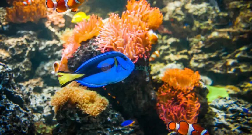 慕尼黑海洋生命水族馆门票 - Image 1 of 6