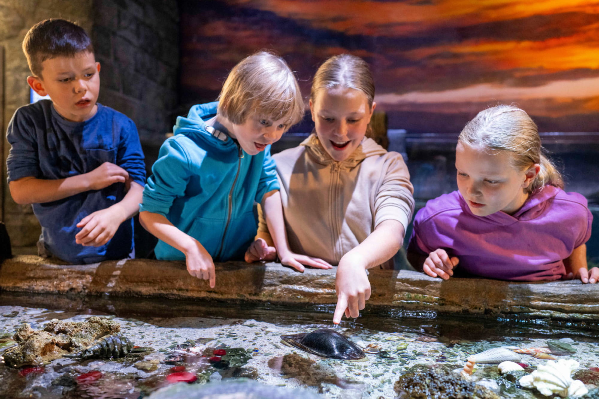 SEA LIFE Munich Aquarium Ticket - Image 4 of 5