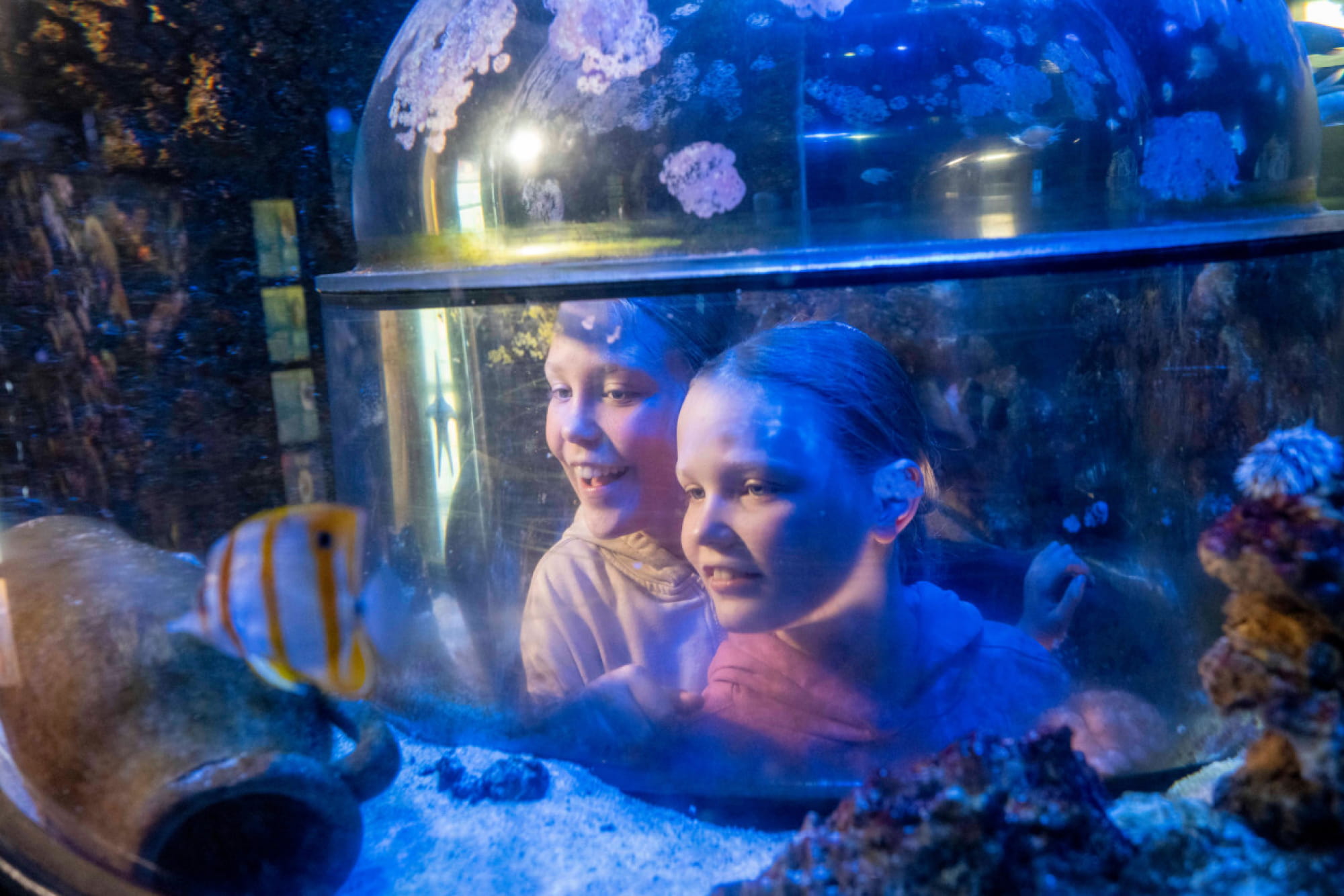 SEA LIFE Munich Aquarium Ticket - Image 6 of 6