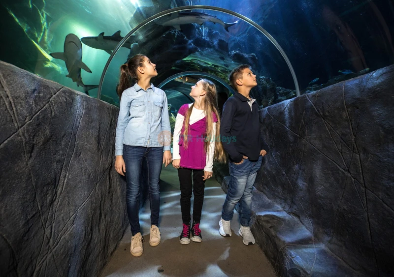 Biglietto Acquario SEA LIFE Monaco