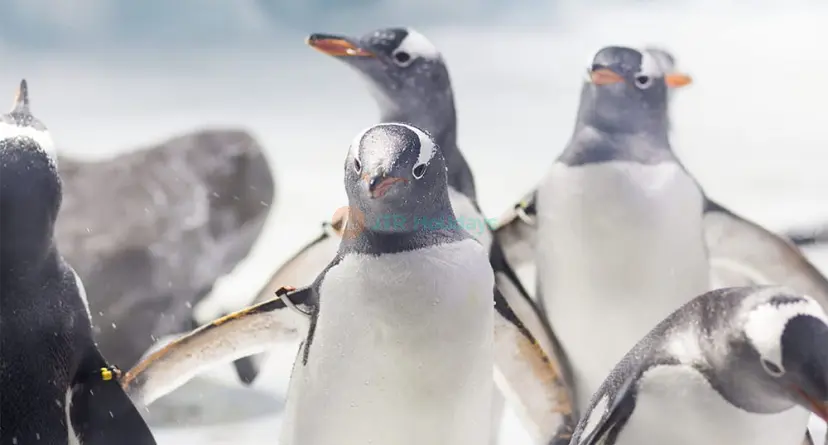 SEA LIFE Konstanz Aquarium Eintrittskarte - Image 1 of 5