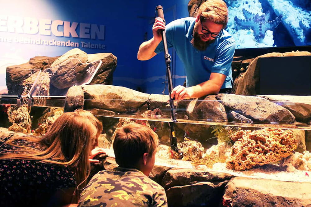 SEA LIFE Konstanz Aquarium Ticket - Book SEA LIFE Konstanz tickets and explore over 3,000 marine animals in themed aquariums, an underwater glass tunnel, and interactive exhibits. Learn about visiting rules, accessibility, and key highlights at this family-friendly attraction in Konstanz, Germany. SEA LIFE Konstanz Aquarium Ticket - Image 2 of 5