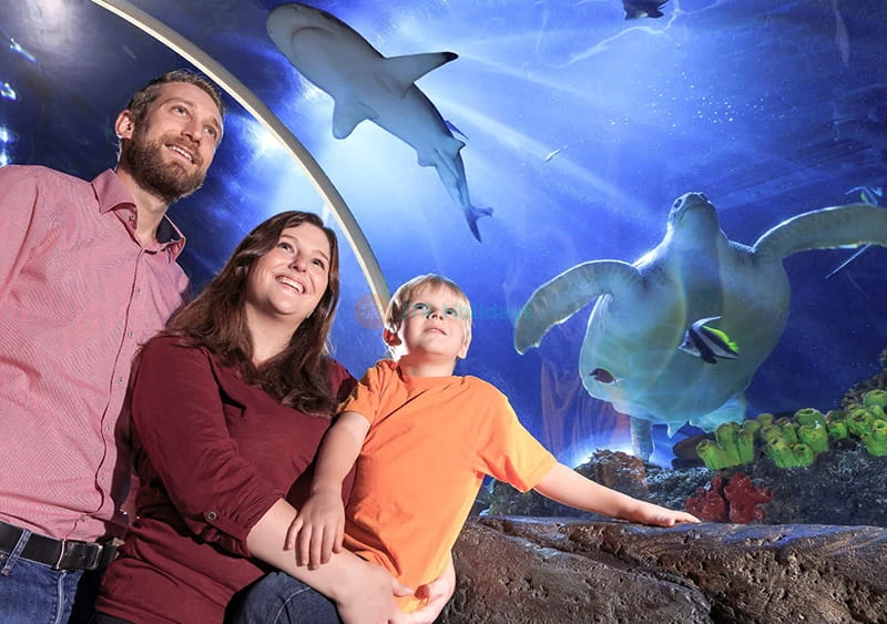 Biglietto per l'Acquario SEA LIFE Konstanz