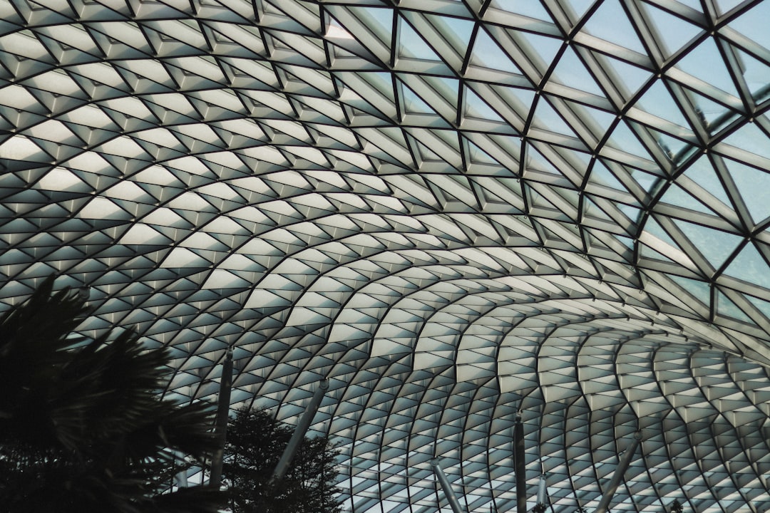 Viator vs JTR Holidays Singapore: What You Need to Know