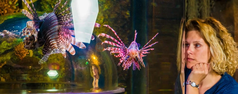 SEA LIFE Timmendorfer Strand Aquarium Ticket - Image 3 of 5