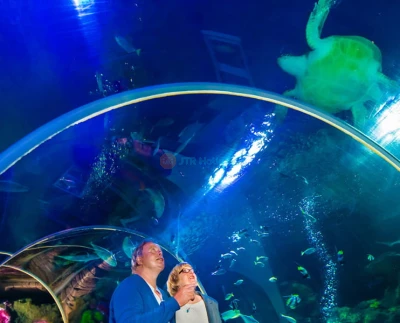 SEA LIFE Timmendorfer Strand Aquarium Ticket - Image 5 of 5