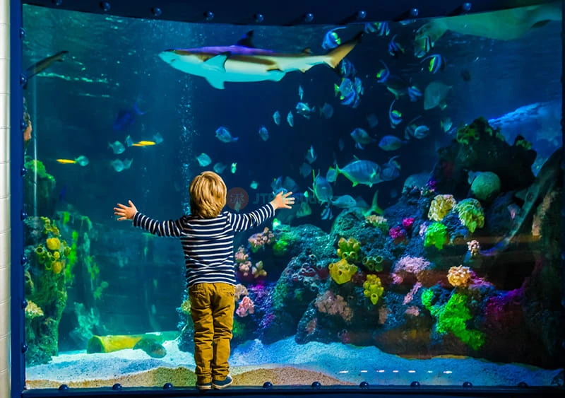 SEA LIFE Timmendorfer Strand Aquarium