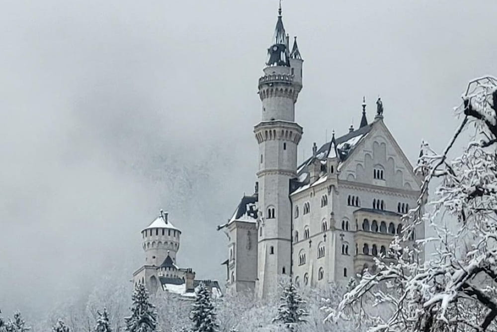 Neuschwanstein Castle: Entry Ticket - Image 5 of 5
