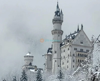 Neuschwanstein Castle: Entry Ticket - Buchen Sie Ihr Eintrittsticket für Schloss Neuschwanstein und erkunden Sie Deutschlands ikonisches Märchenschloss. Genießen Sie eine geführte Tour durch königliche Innenräume, atemberaubende Alpenblicke und erfahren Sie die Geschichte von König Ludwig II. Die Abholung der Eintrittskarten ist in Füssen erforderlich, bevor die Führung am Schloss beginnt. Neuschwanstein Castle: Entry Ticket - Bild 5 von 5