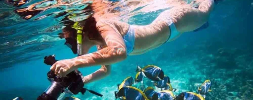 Snorkeling Fujairah - Snorkeling Fujairah, Enjoy a snorkeling adventure in the Gulf of Oman and experience the underwater world with ease. Best Scuba Diving, location... Snorkeling Fujairah - Image 3 of 5
