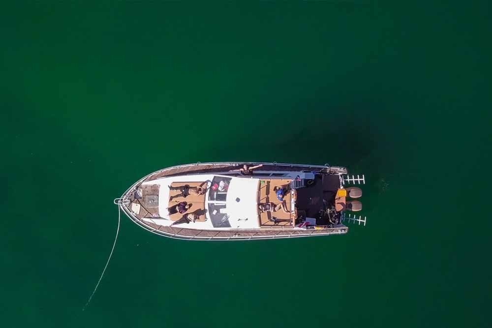 Snorkeling Fujairah - Image 4 of 5