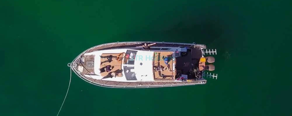 Snorkeling Fujairah - Image 4 of 5