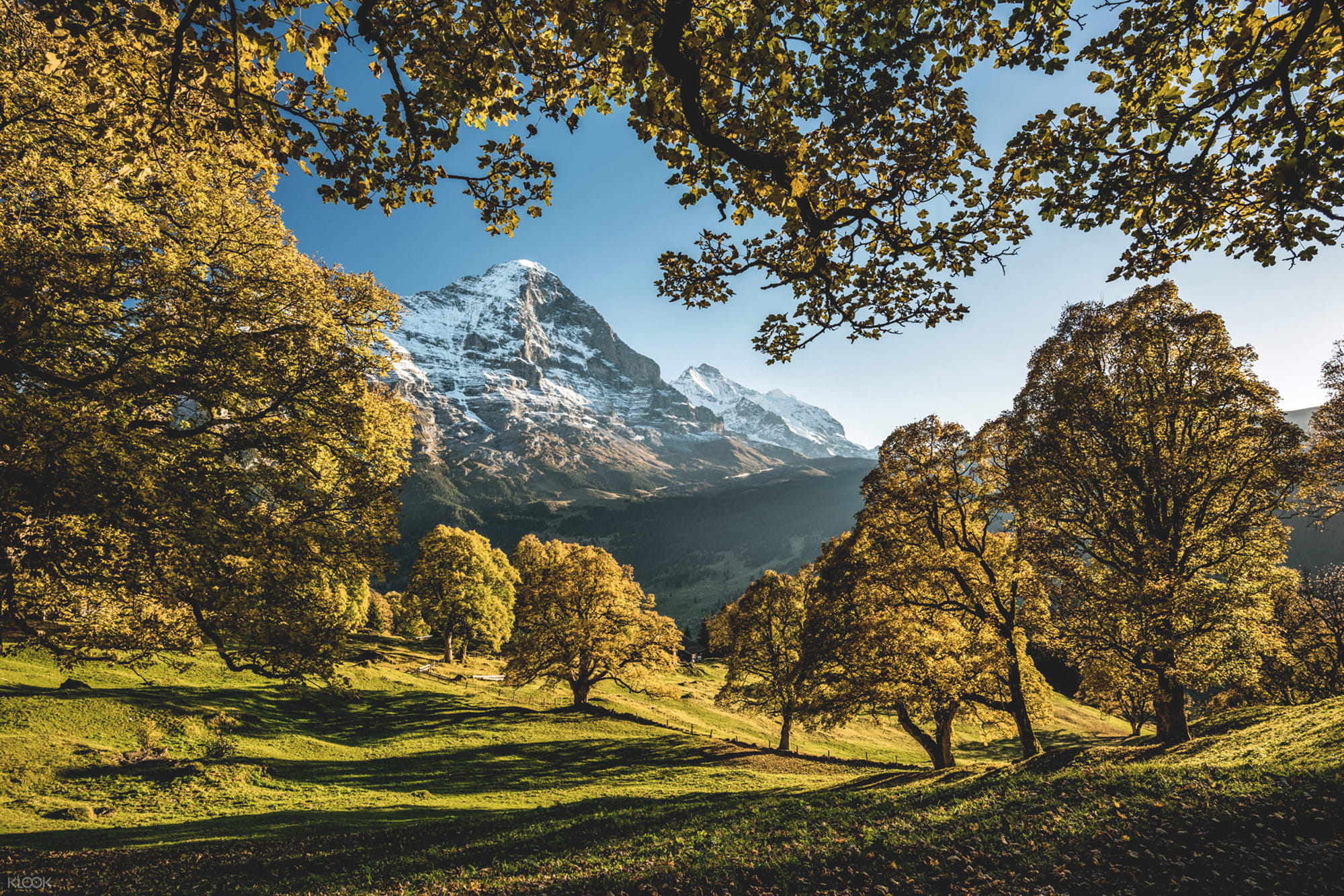 Grindelwald, Interlaken and Lauterbrunnen Day Tour - Image 7 of 7